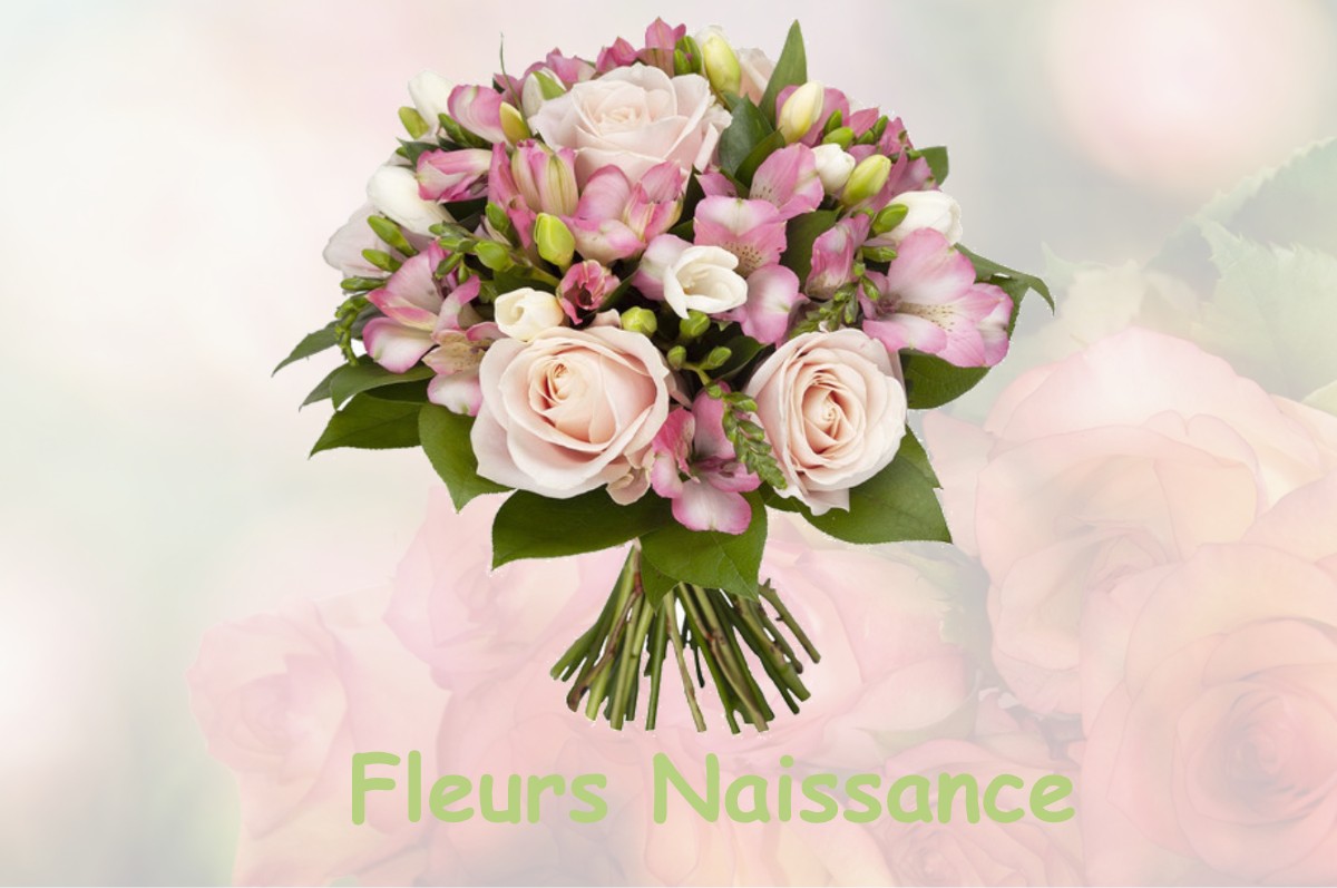 fleurs naissance MEAUDRE