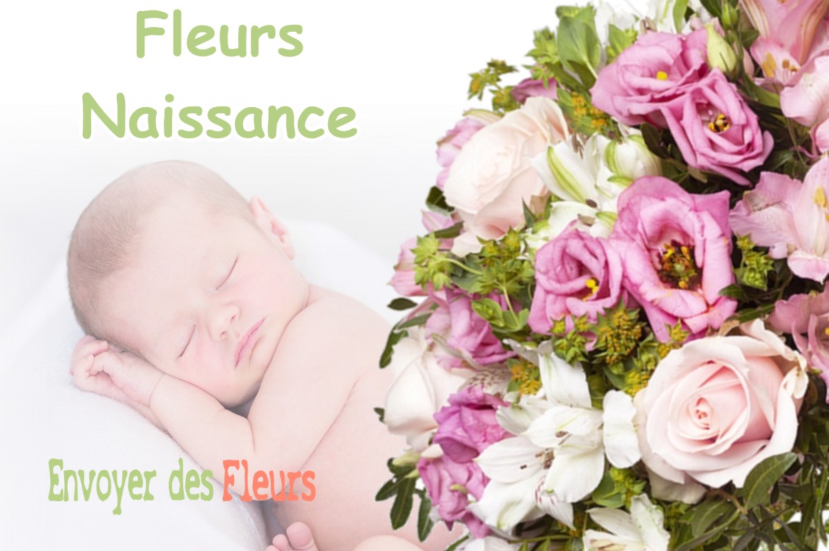 lIVRAISON FLEURS NAISSANCE à MEAUDRE